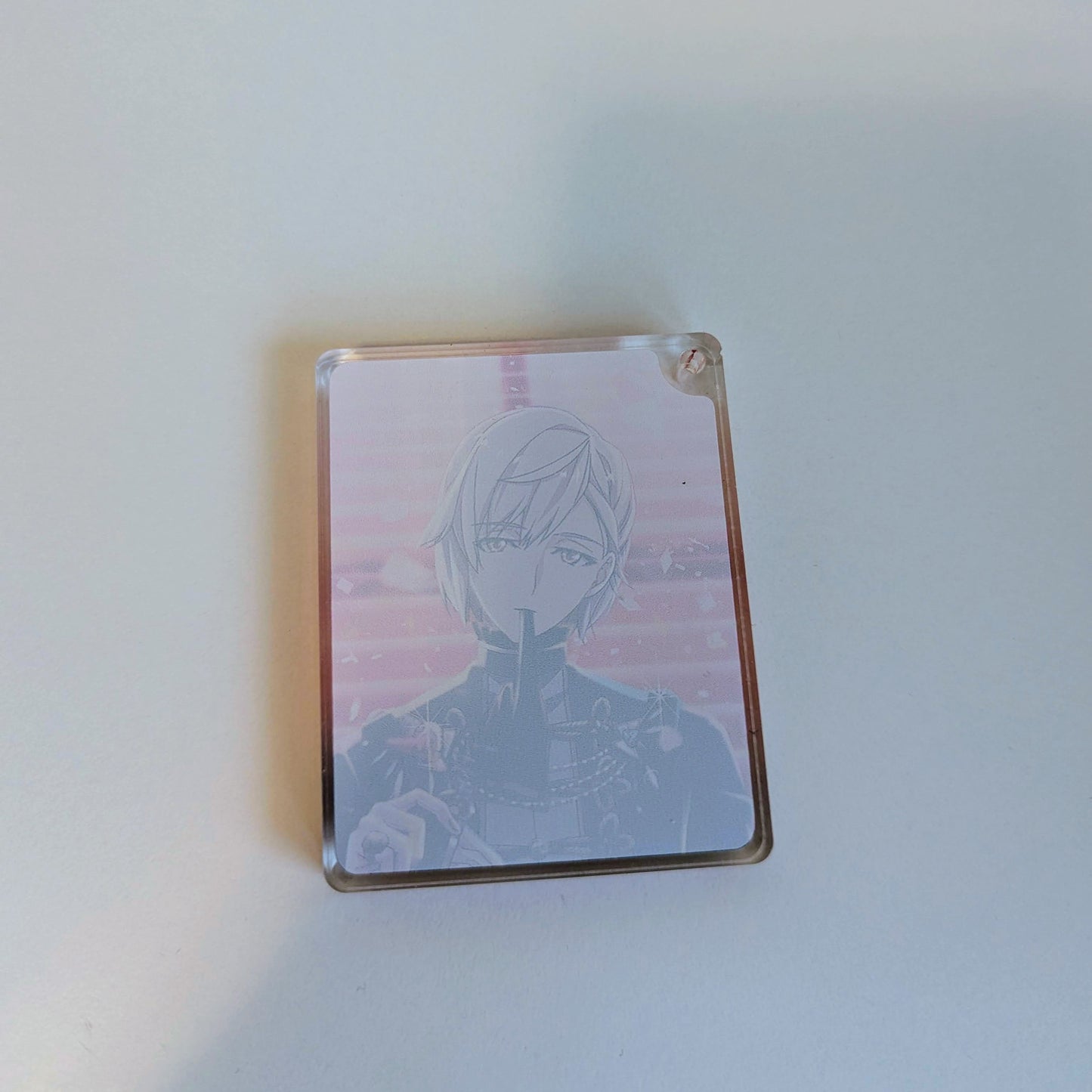 IDOLiSH7 Natsume Minami Zool Acrylic Art Plate