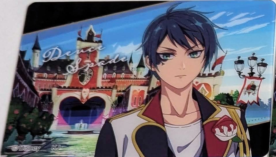 Twisted Wonderland Assorted Cards