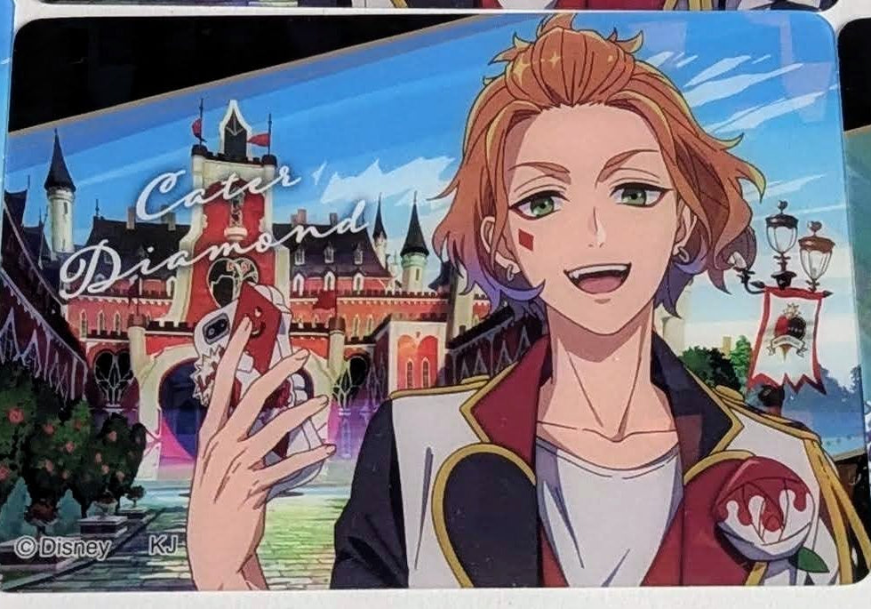 Twisted Wonderland Assorted Cards