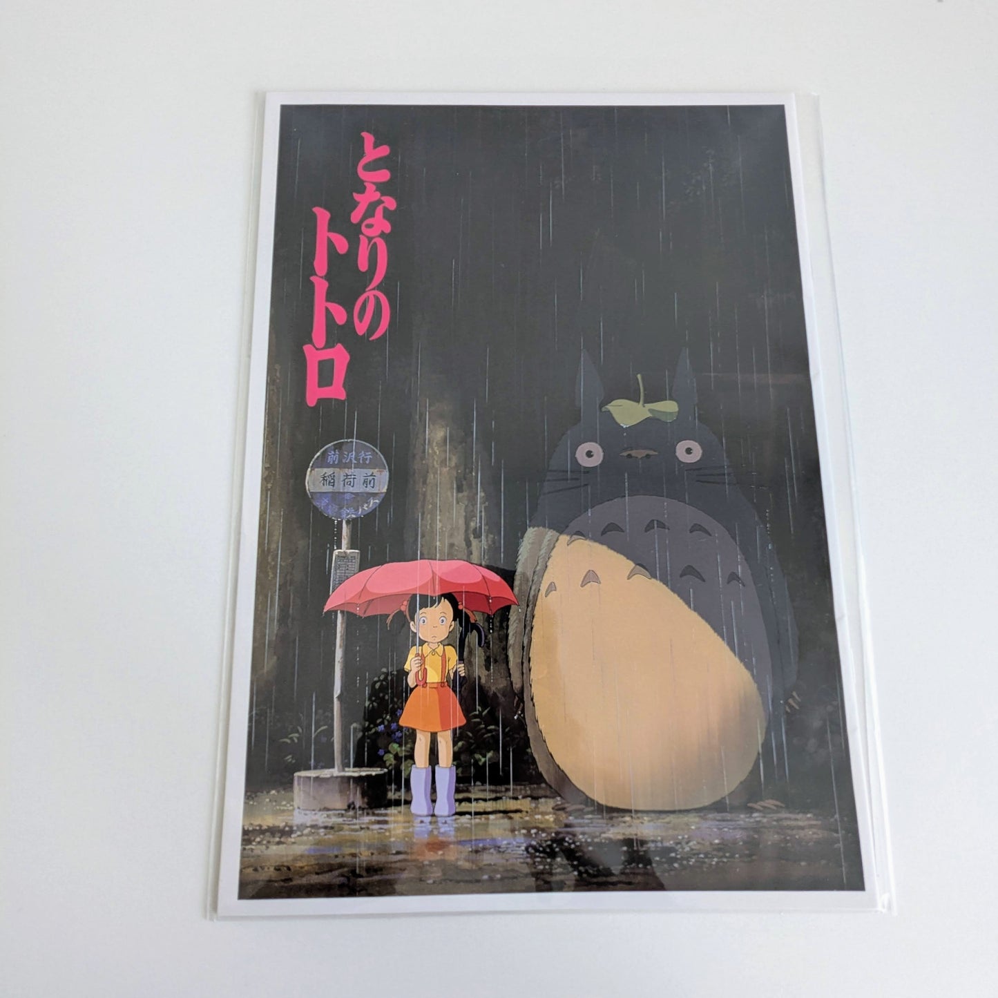 Ghibli My Neighbor Totoro Movie Brochure